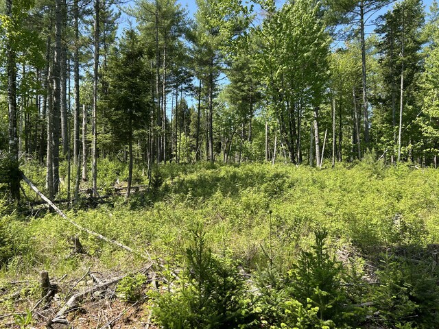 M4L36 Old Union Rd, Washington, ME 04574 - photo 20