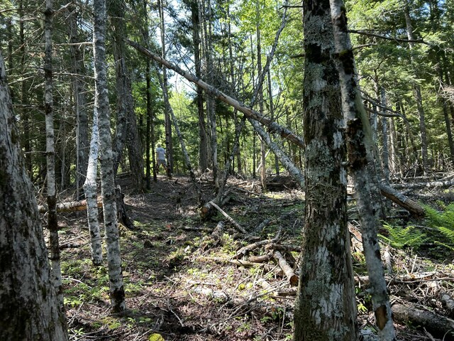 M4L36 Old Union Rd, Washington, ME 04574 - photo 22