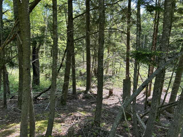 M4L36 Old Union Rd, Washington, ME 04574 - photo 23