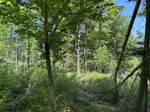 M4L36 Old Union Rd, Washington, ME 04574 - photo 24