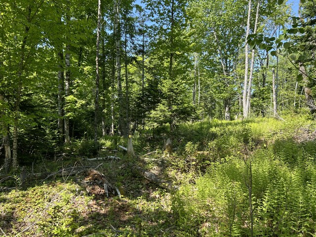 M4L36 Old Union Rd, Washington, ME 04574 - photo 25