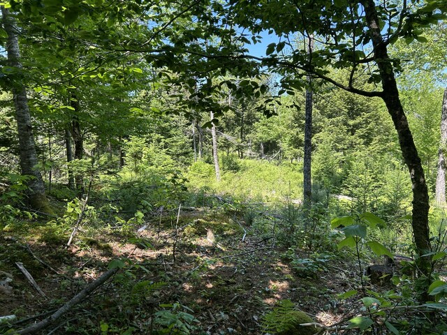 M4L36 Old Union Rd, Washington, ME 04574 - photo 26