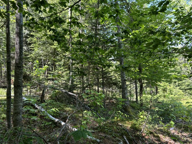 M4L36 Old Union Rd, Washington, ME 04574 - photo 27