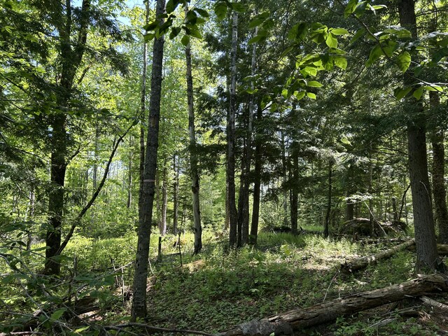 M4L36 Old Union Rd, Washington, ME 04574 - photo 28