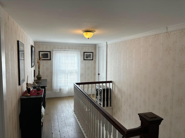 hall featuring crown molding and hardwood / wood-style floors