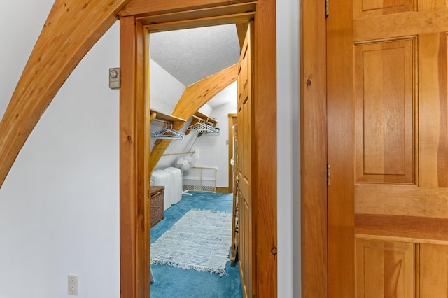 hall featuring lofted ceiling and carpet