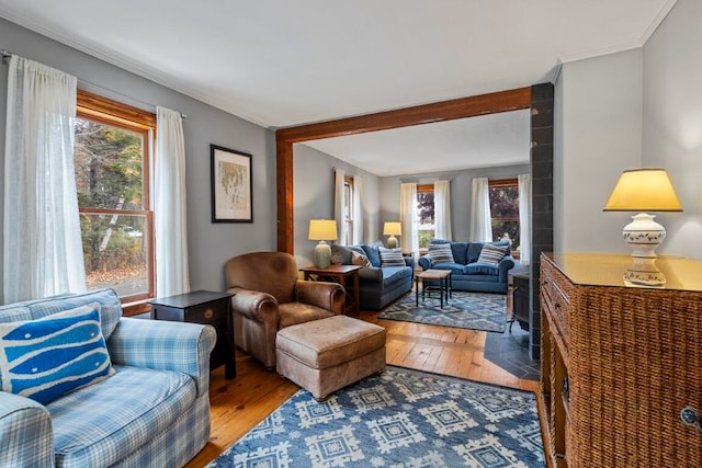 living room with hardwood / wood-style floors and ornamental molding