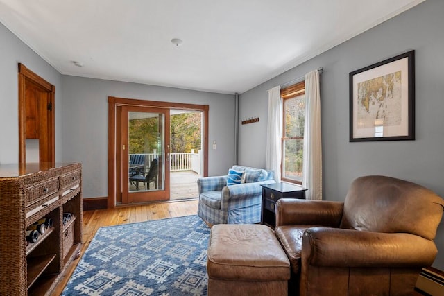 sitting room with light hardwood / wood-style floors, a baseboard radiator, and a healthy amount of sunlight