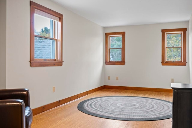 sitting room with wood-type flooring and a wealth of natural light