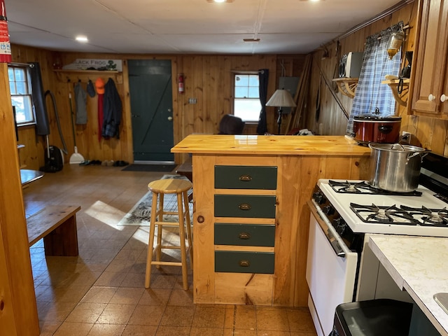 443 Rockwood Rd, Moosehead Junction Twp, ME 04442 - photo 5