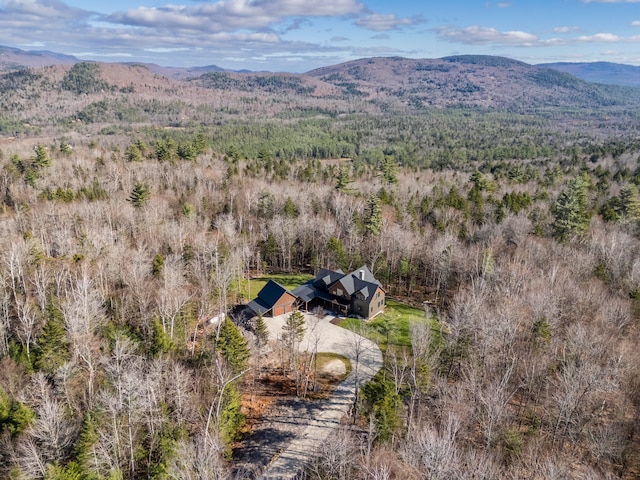 birds eye view of property featuring a mountain view