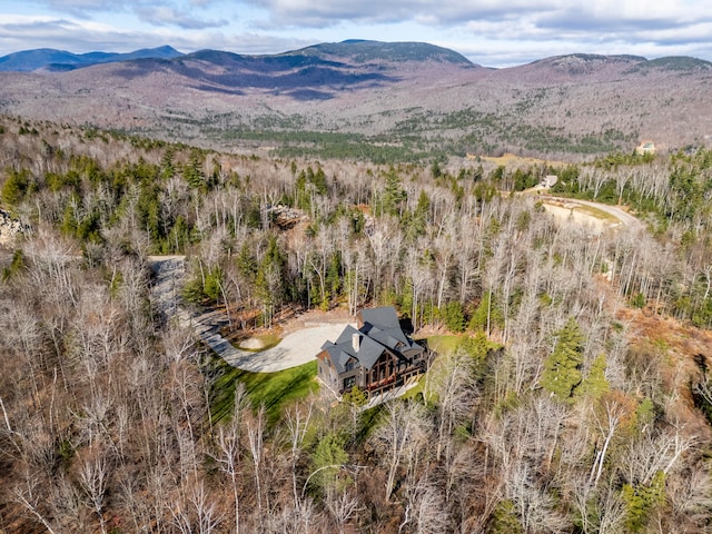 aerial view with a mountain view