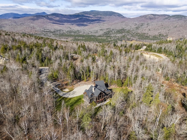 100 Morganite Way, Newry, ME 04261 - view of subject property with mountains