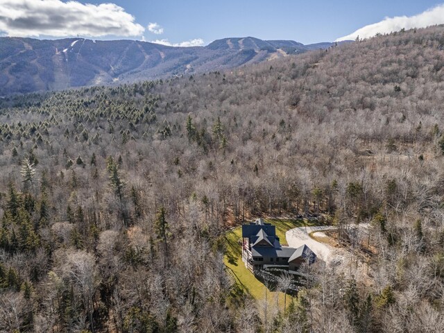 100 Morganite Way, Newry, ME 04261 - view of mountain backdrop with a heavily wooded area
