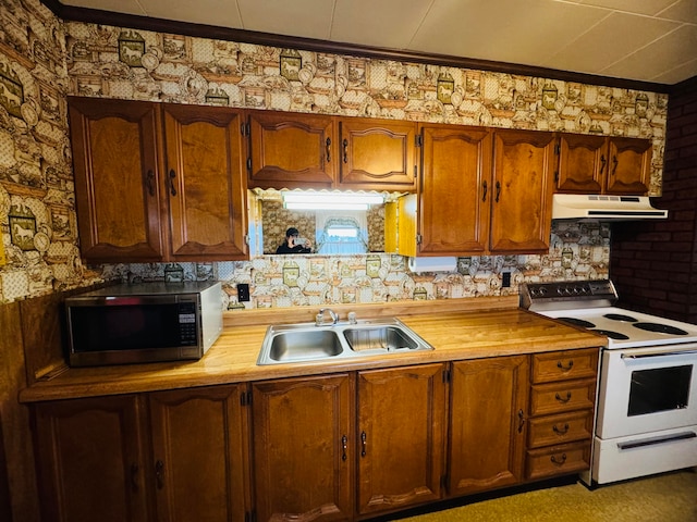 kitchen featuring ornamental molding, white electric range oven, and sink