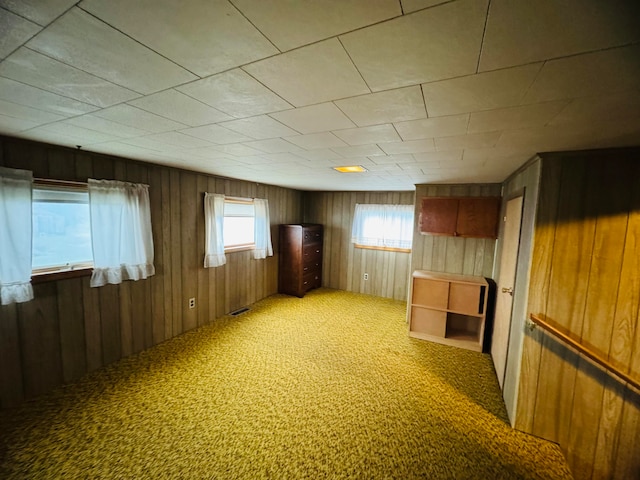 interior space with carpet and wooden walls