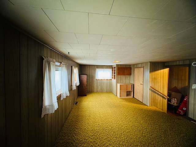 interior space featuring wood walls and carpet flooring