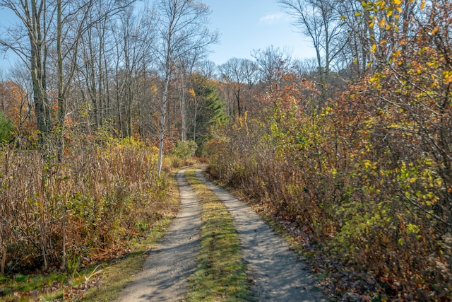 LOT2 Buxhill Blvd, Chebeague Island, ME 04017 - photo 7