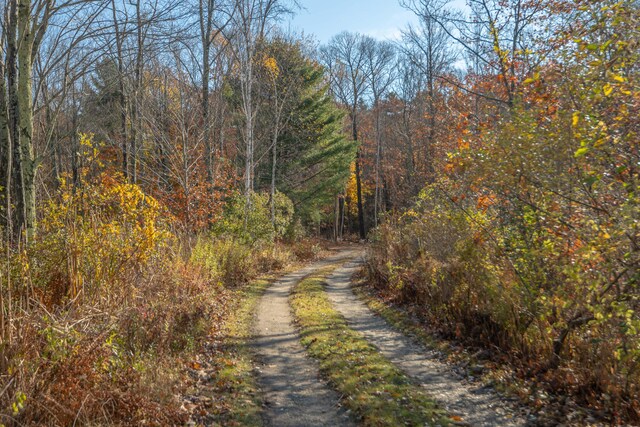 LOT2 Buxhill Blvd, Chebeague Island, ME 04017 - photo 8