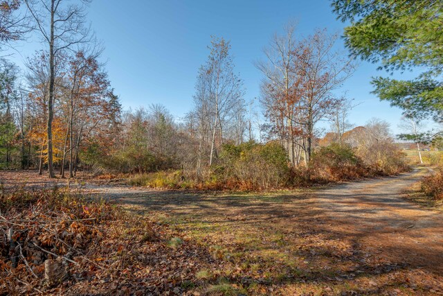 LOT2 Buxhill Blvd, Chebeague Island, ME 04017 - photo 9