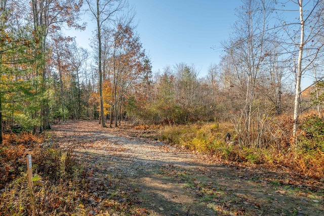 LOT2 Buxhill Blvd, Chebeague Island, ME 04017 - photo 10
