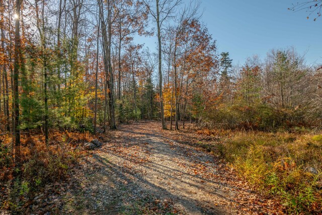 LOT2 Buxhill Blvd, Chebeague Island, ME 04017 - photo 11