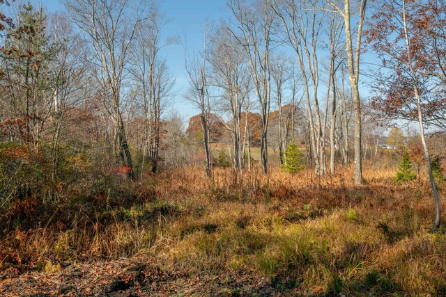 LOT2 Buxhill Blvd, Chebeague Island, ME 04017 - photo 13