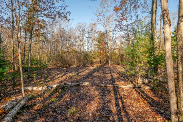 LOT2 Buxhill Blvd, Chebeague Island, ME 04017 - photo 14