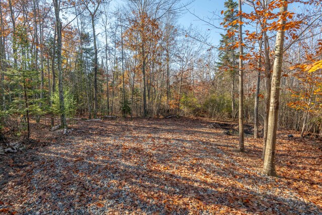 LOT2 Buxhill Blvd, Chebeague Island, ME 04017 - photo 16