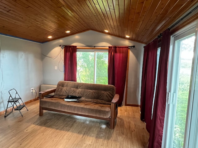 752 Caribou Rd, Fort Kent, ME 04743 - living area featuring a wealth of natural light, vaulted ceiling, wood ceiling, and light wood-type flooring