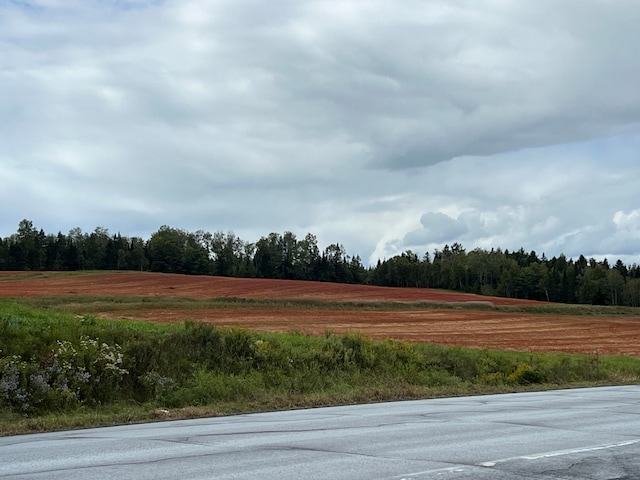 752 Caribou Rd, Fort Kent, ME 04743 - view of yard
