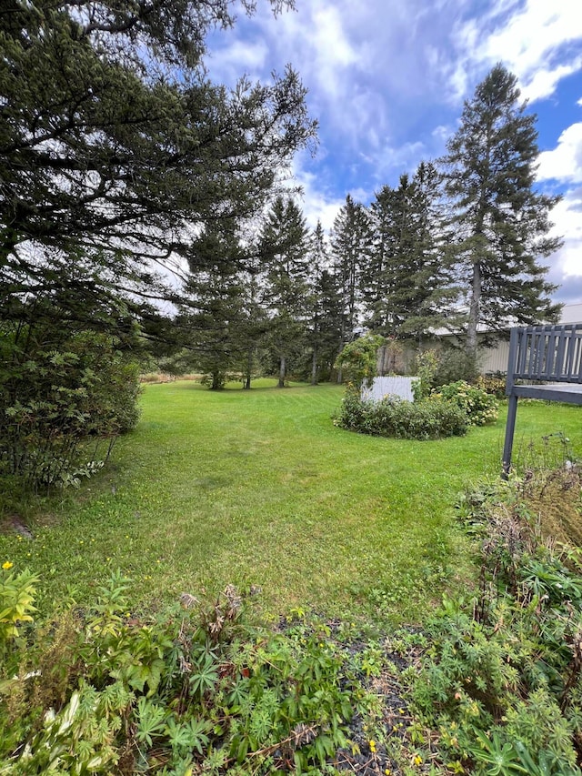 752 Caribou Rd, Fort Kent, ME 04743 - view of yard