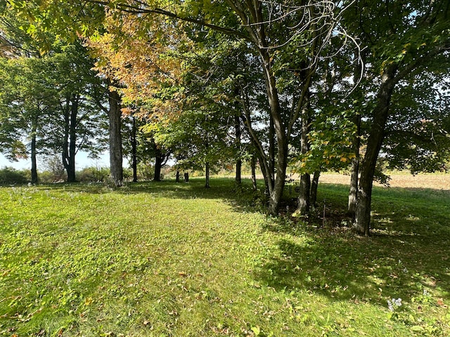 452 Station Rd, Easton, ME 04740 - view of local wilderness