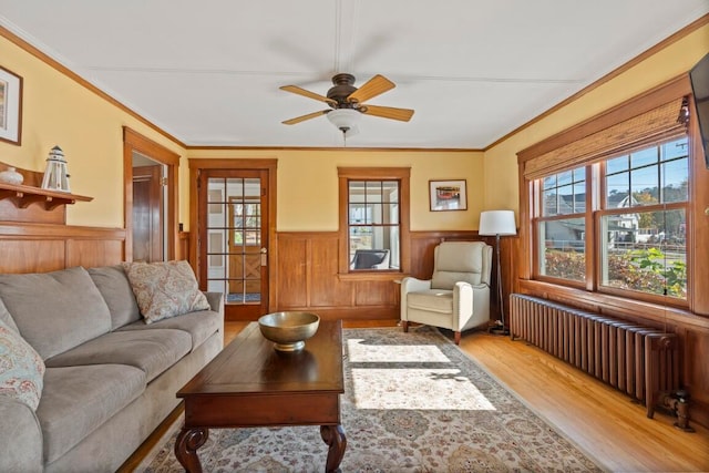 living room featuring radiator, ceiling fan, light wood-type flooring, and crown molding