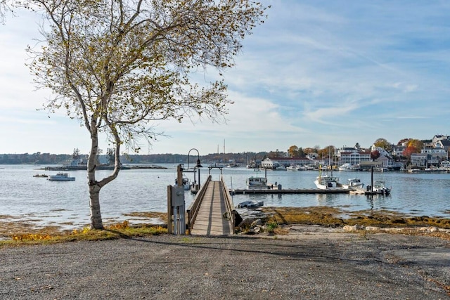 dock area featuring a water view