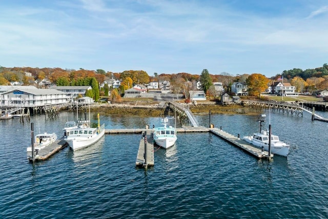 dock area featuring a water view