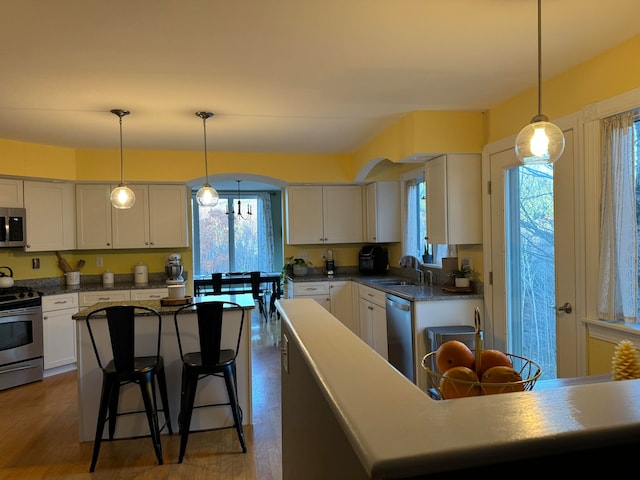 kitchen featuring a healthy amount of sunlight, stainless steel appliances, and dark hardwood / wood-style flooring