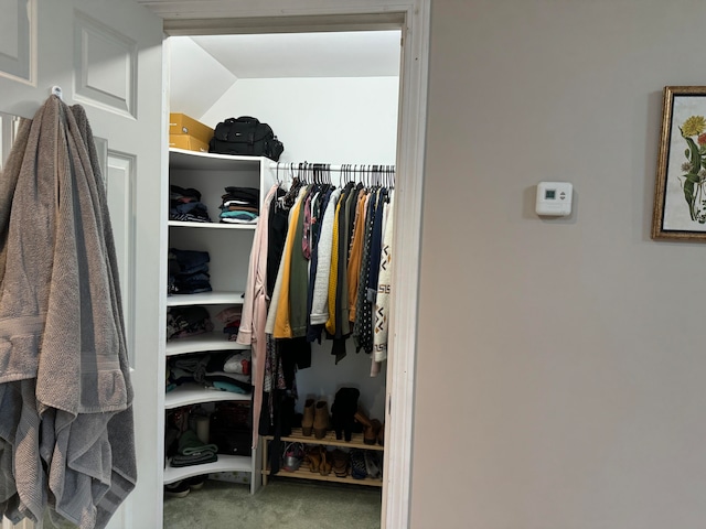 walk in closet featuring carpet floors