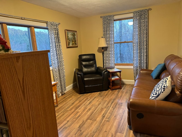 living room with a textured ceiling and hardwood / wood-style flooring