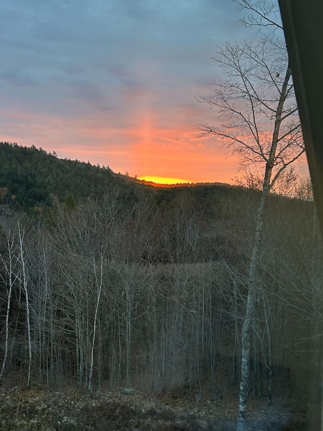 view of nature at dusk