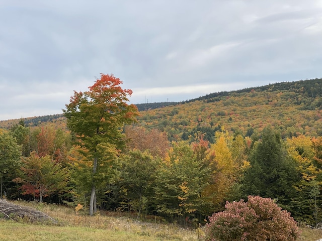 view of landscape