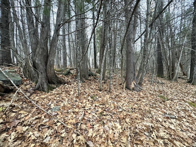 320 Milo Rd, Sebec, ME 04481 - photo 4