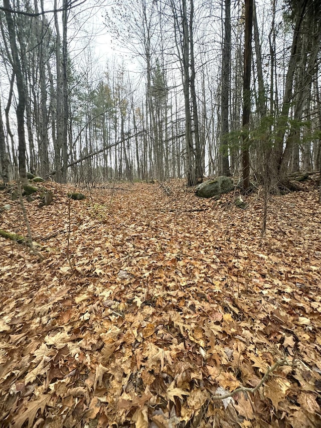 320 Milo Rd, Sebec, ME 04481 - photo 5