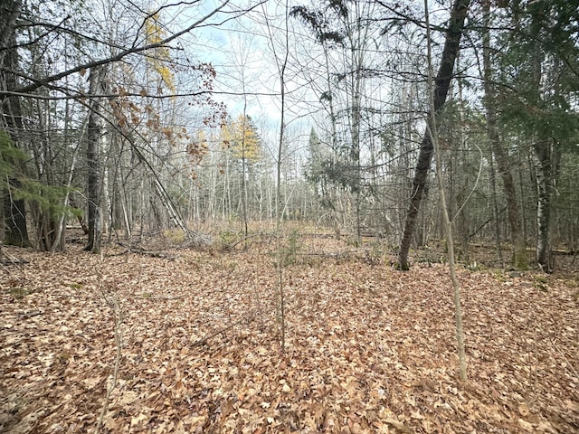 320 Milo Rd, Sebec, ME 04481 - photo 8