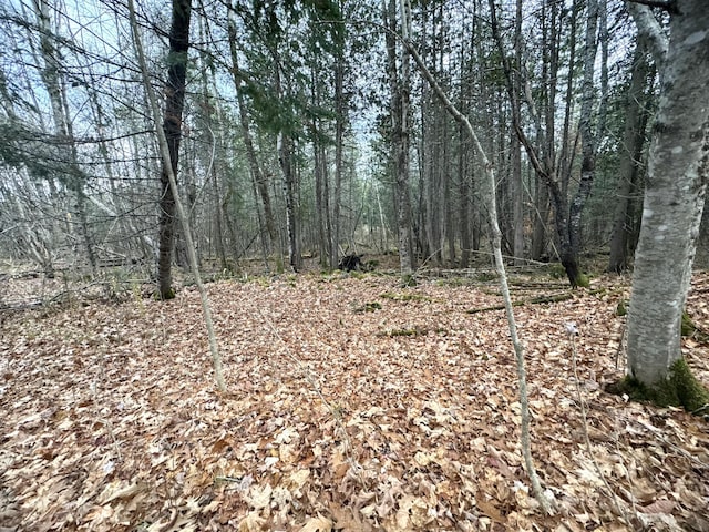 320 Milo Rd, Sebec, ME 04481 - photo 9