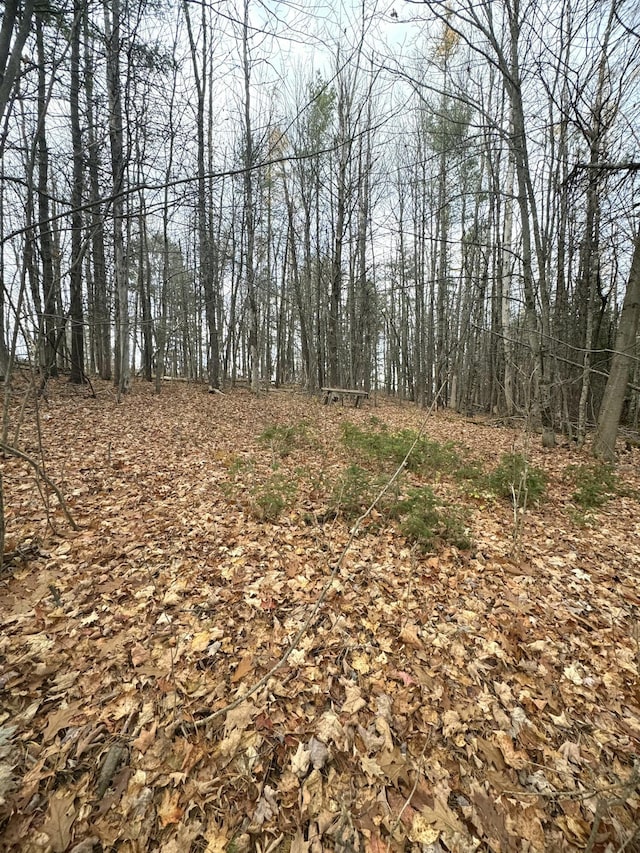 320 Milo Rd, Sebec, ME 04481 - photo 10