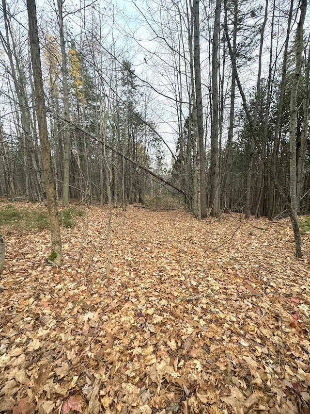 320 Milo Rd, Sebec, ME 04481 - photo 11