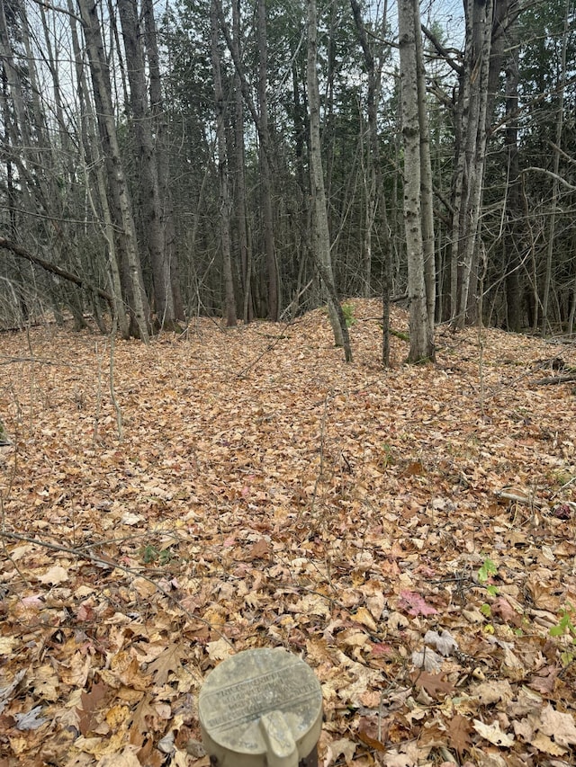 320 Milo Rd, Sebec, ME 04481 - photo 14