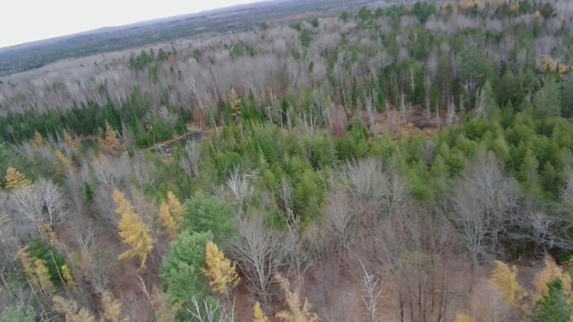 320 Milo Rd, Sebec, ME 04481 - photo 20