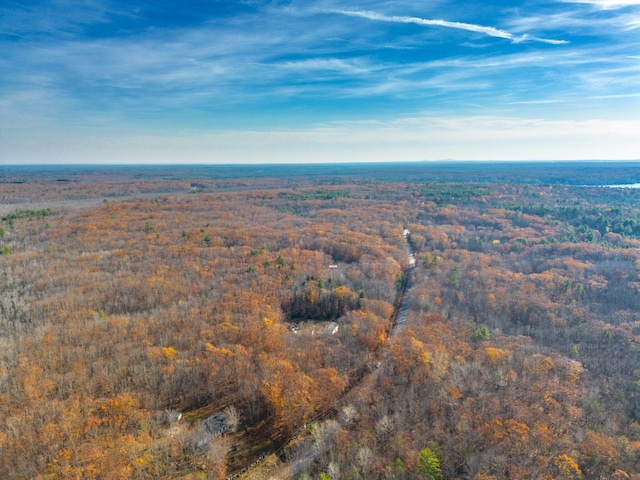 221 Frost Rd, Lyman, ME 04002 - aerial view of property and surrounding area with a forest